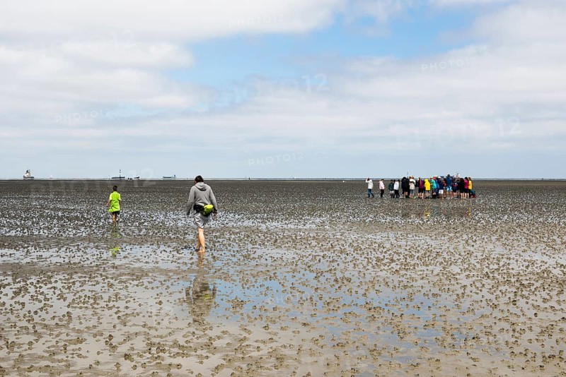 Waders