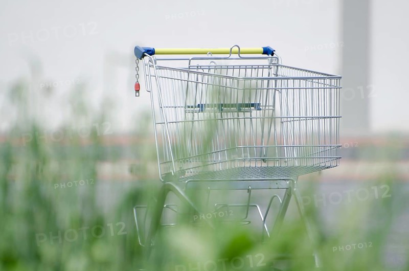 Shopping Cart and Grass