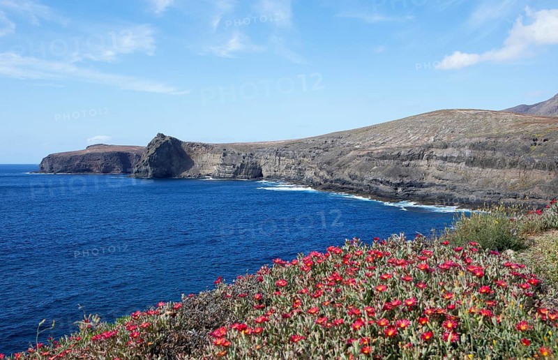 Cliffs in Agaete