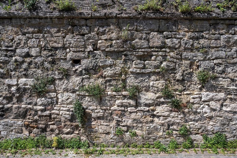 Sandstone masonry units