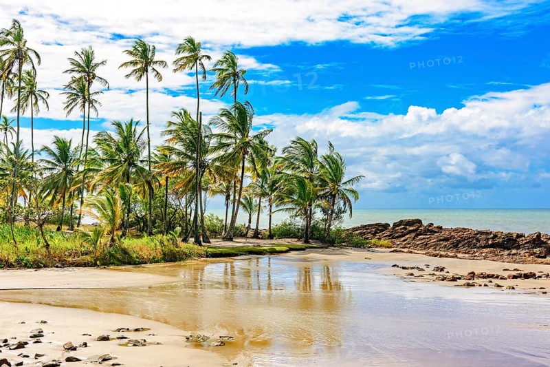Small deserted beach hidden between rocks and coconut trees in the town of Serra Grande on the coast of Bahia