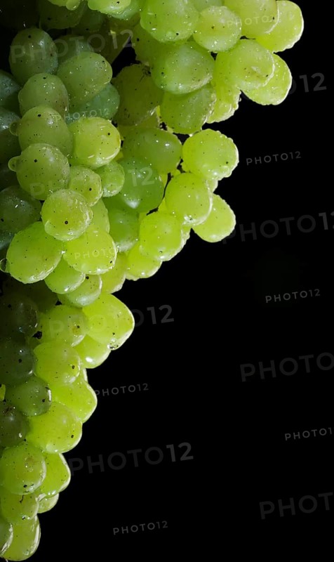 Bunch of white grapes with water drops on black background