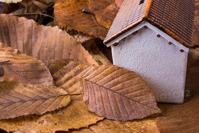 Little model house places on an Autumn background with leaves