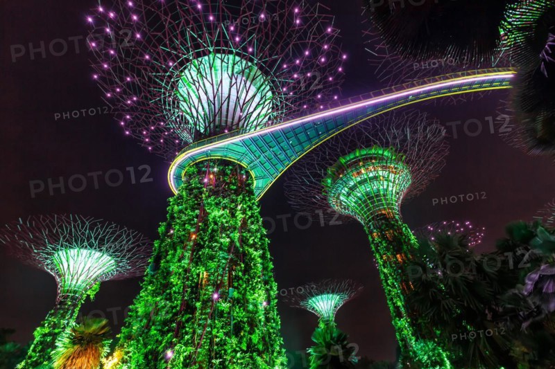 Gardens by the Bay with the Supertrees in the evening in Singapore