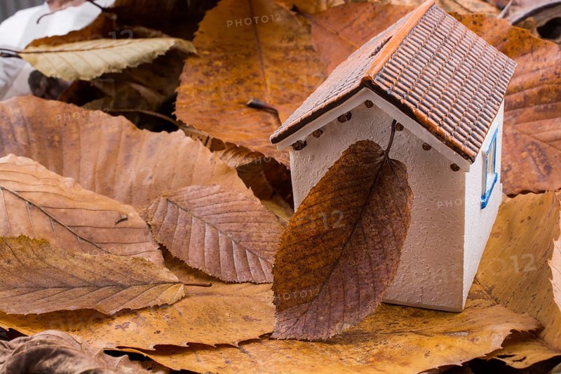 Little model house places on an Autumn background with leaves