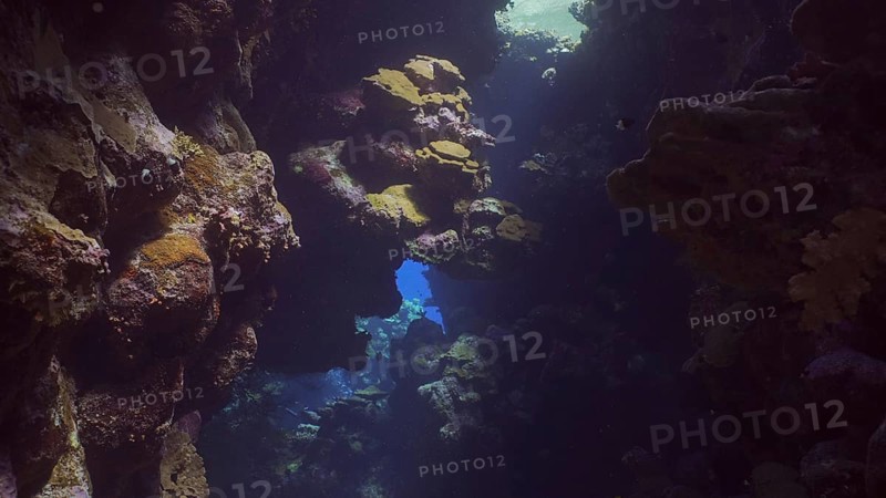 Sunshine penetrate the underwater coral cave and illuminate it. Tropical fish swim inside coral caves in the sunrays penetrating from the surface