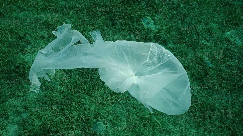 Top view of old plastic bag drifting above bottom covered with Round Leaf Sea Grass