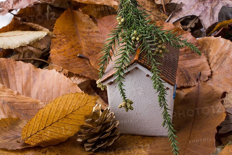 Little model house places on an Autumn background with leaves