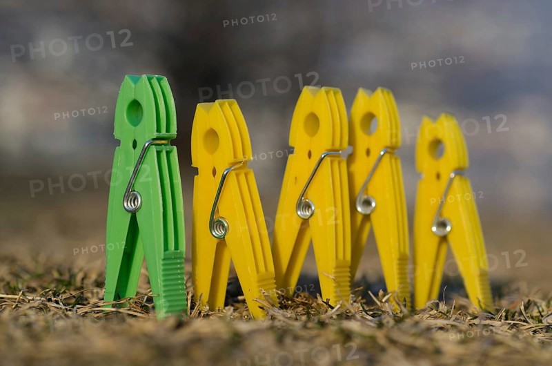 On Green and Four Yellow Clothespin Standing up Together