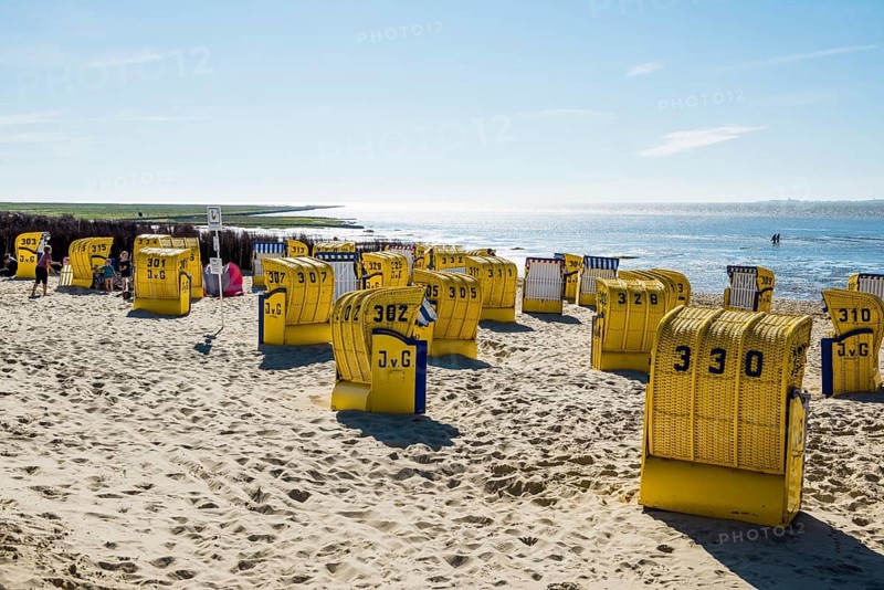 Yellow beach chairs and mudflats