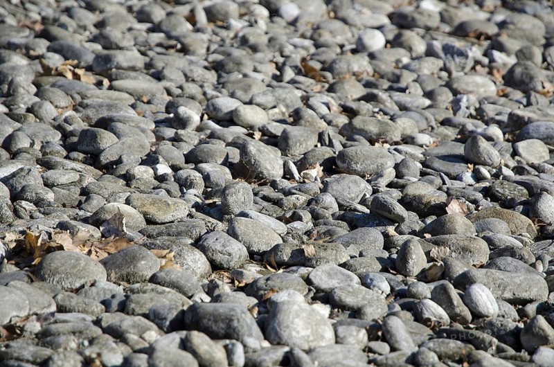 Stones on the Beach