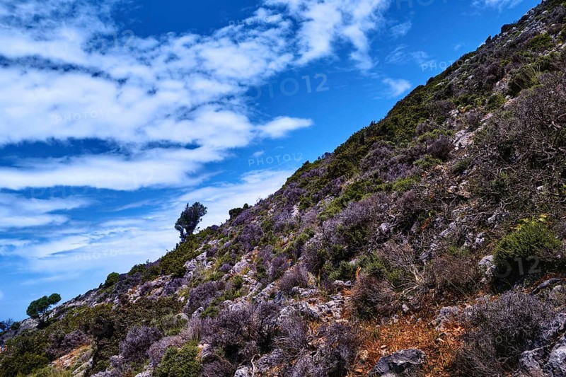 Diagonal view of beautiful typical Cretan landscape great clouds in clear blue sky. Low bending olive tree