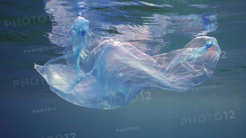 Disposable blue plastic bag floats under surface in blue water in sunrays. Plastic bag thrown into sea drifts under surface of blue water in morning sunlight