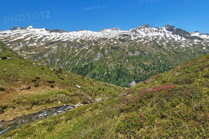 View from Lake Salzboden towards the mountains