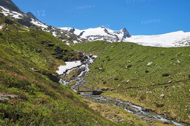Stream with bridge