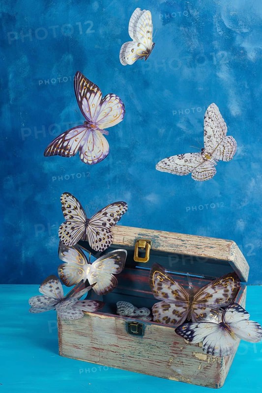 Butterflies flying out of an antique wooden chest against a blue background