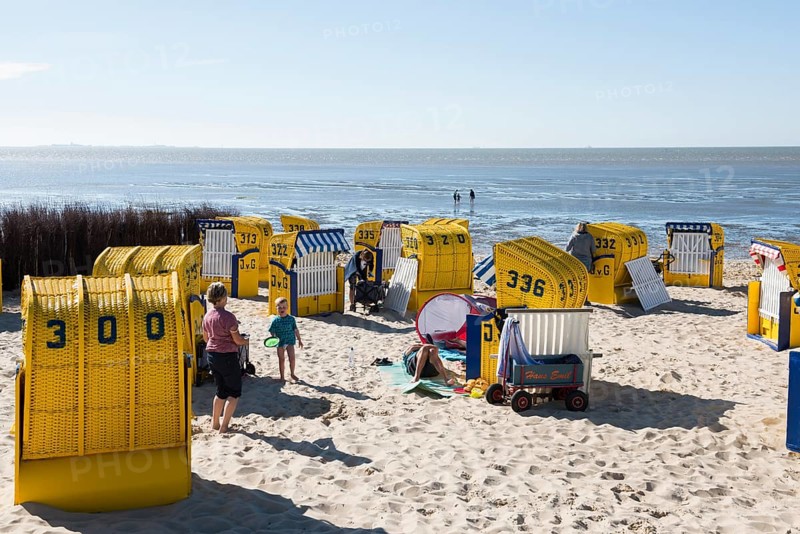 Yellow beach chairs and mudflats