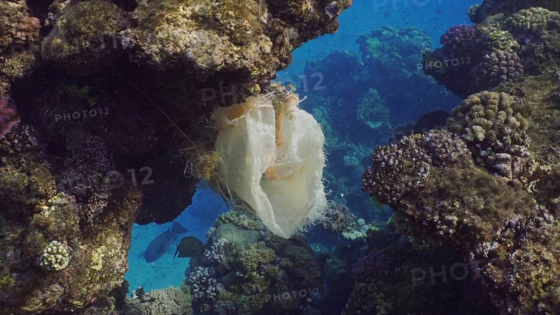 Plastic pollution