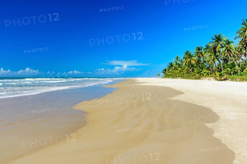 Tropical beach with coconut trees next to the sea and sand in Serra Grande on the coast of Bahia
