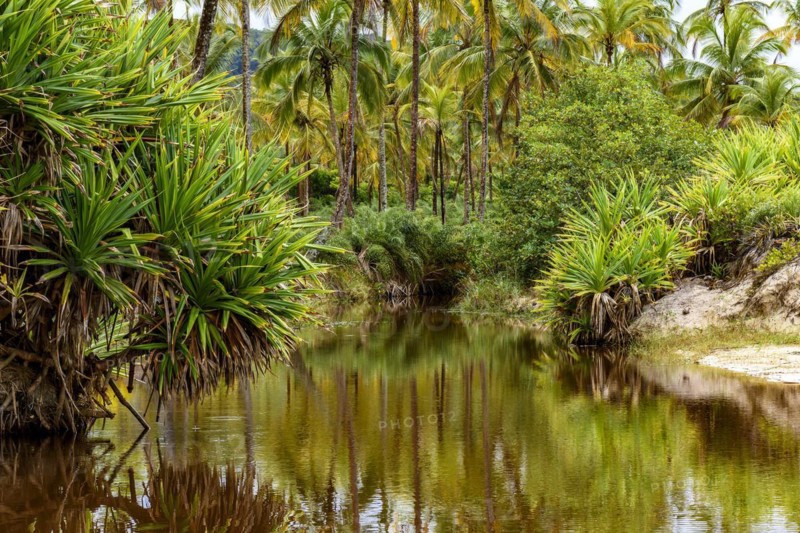 River through the vegetation of the rainforest going towards the sea in Serra Grande in the state of Bahia