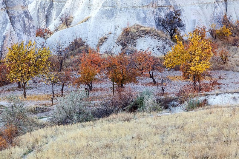 Landscape with tufa formations