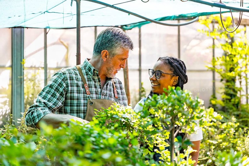 Master gardener teaching flower nursery student girl checking plants in greenhouse