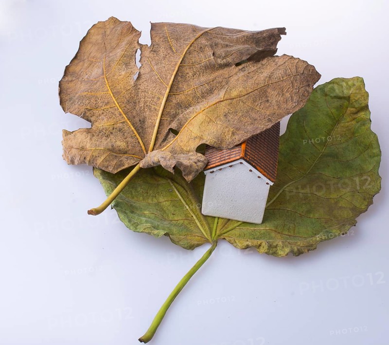 Little model house placed between two large Autumn leaves