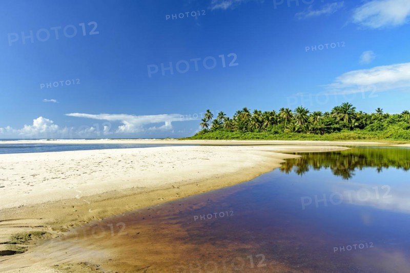 Where the river meets the sea with coconut trees in the background at Sargi beach in Serra Grande on the coast of Bahia
