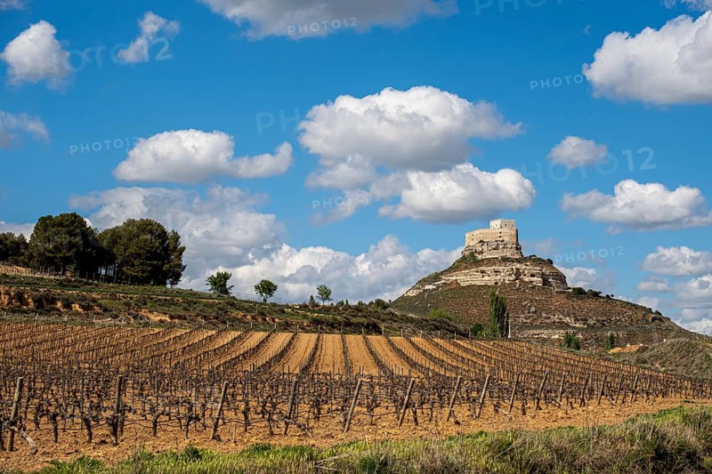 Vineyards around the Real Castillo de Curiel in the Ribera del Duero denomination of origin area in the province of Valladolid in Spain