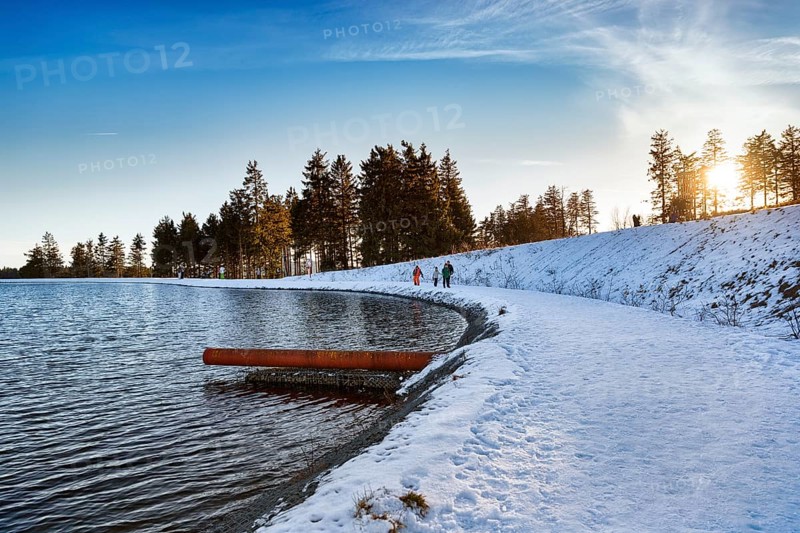 Walkers in winter