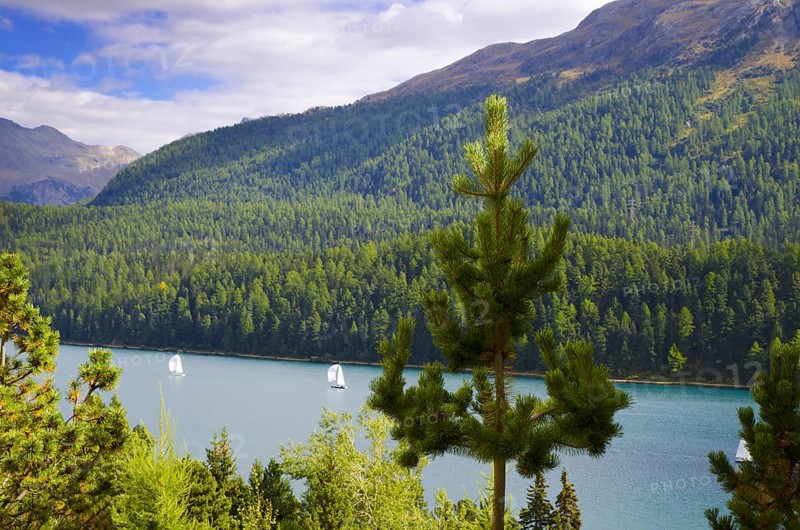 St Moritz Alpine Lake with Sailing Boats and Mountain in Grisons