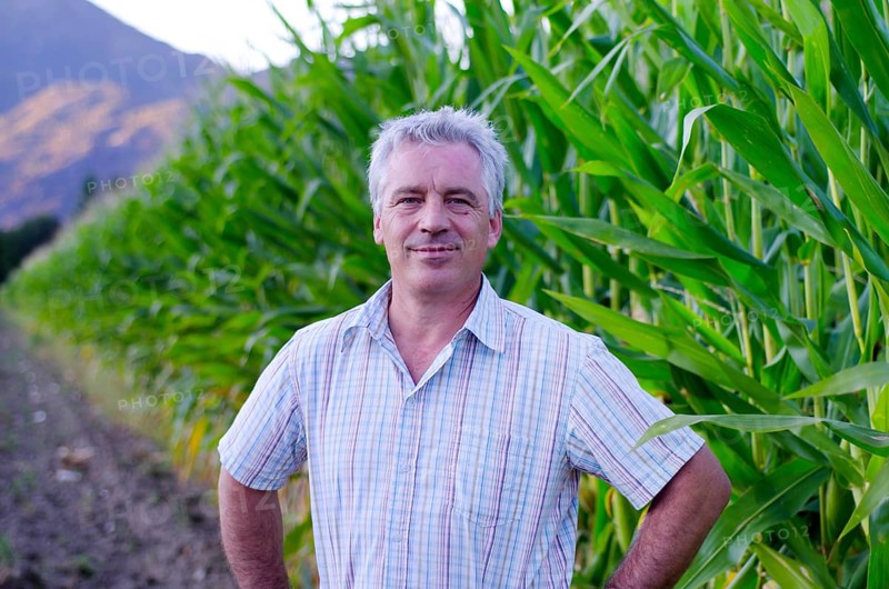 Happy Farmer Man with Grey Hair in His Corn Field