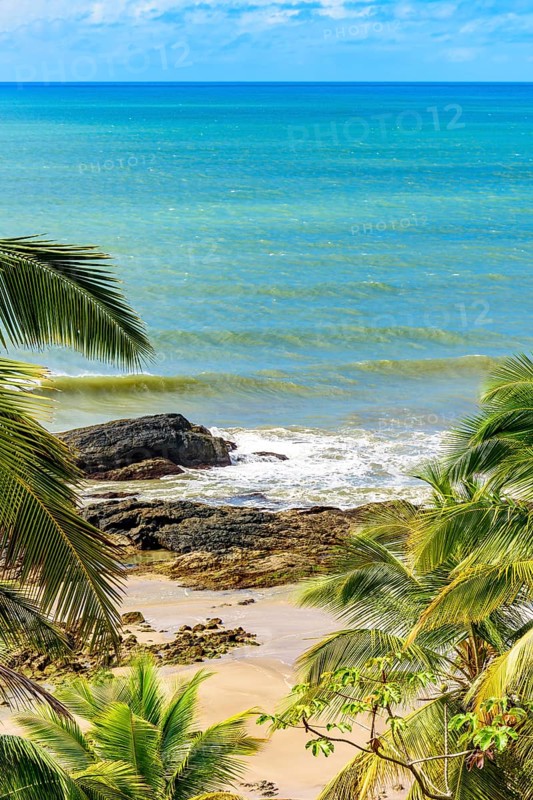 Tropical beach with vividly colored waters seen through the leaves of coconut trees in Serra Grande on the coast of Bahia