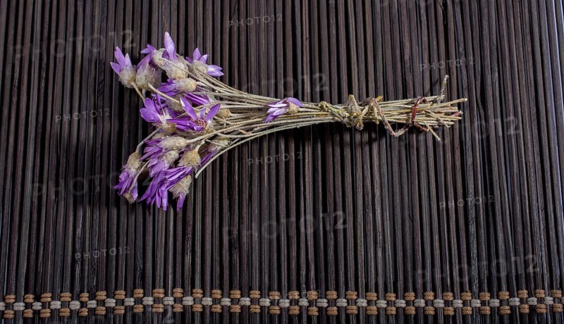 Bunch of flowers are placed on a straw mat