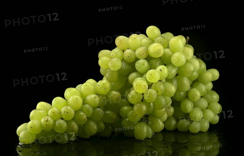Bunch of white grapes with water drops on black background