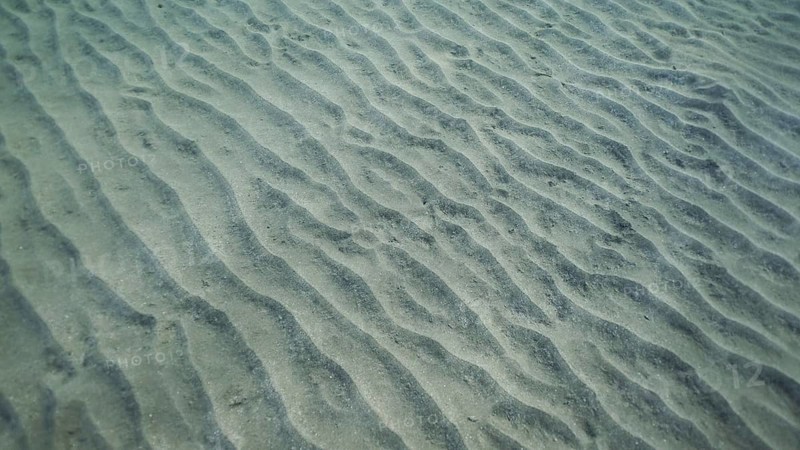Sandy bottom covered with sand hills