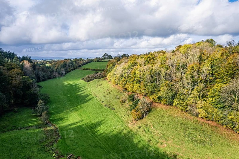 Forests and Farms over Berry Pomeroy