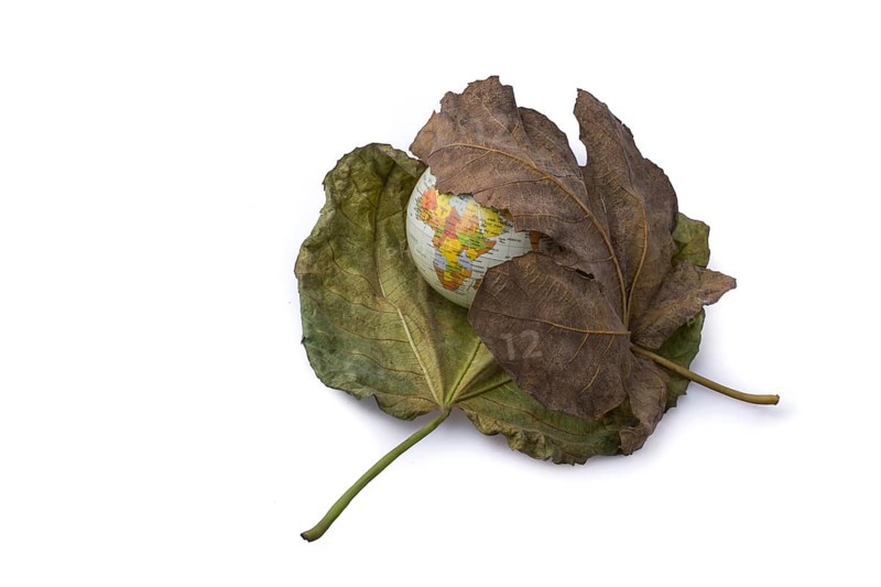 Little model globe placed between two large Autumn leaves