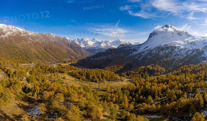 Aerial view over Val Poschiavo with its larch forests in autumn dress