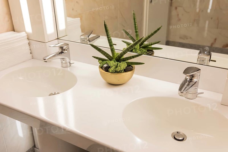 Bathroom with a Plant