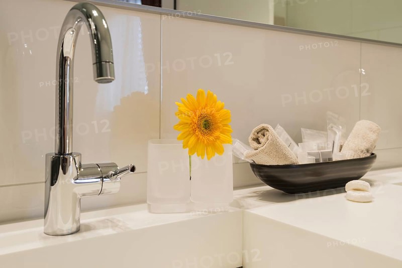Bathroom with Flower