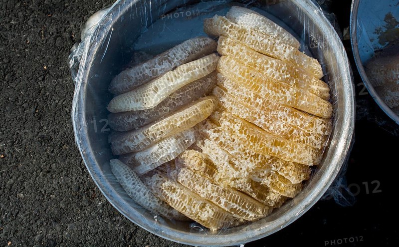 Sweet fresh honey in the sealed comb frame