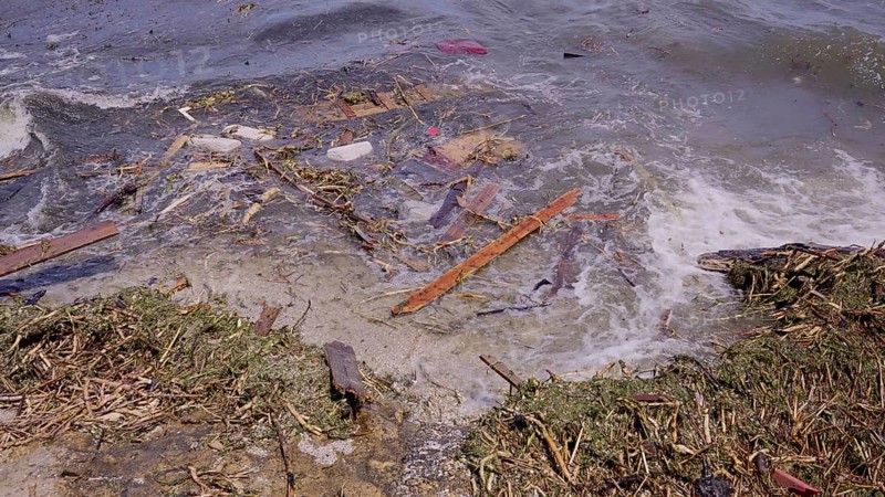 Close-up of floating debris has reached Black Sea beaches in Odessa