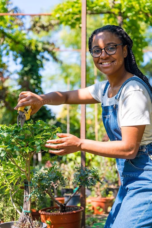 Portrait of black ethnic woman with braids gardener working in the nursery inside the greenhouse cutting the bonsai trees