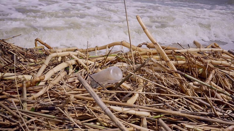 Plastic and other drifting debris has reached Black Sea beaches in Odessa