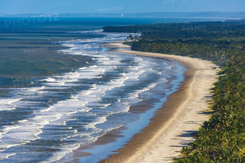 Top view of the beaches of Sargi and Pe de Serra with their coconut trees in Serra Grande on the south coast of the state of Bahia
