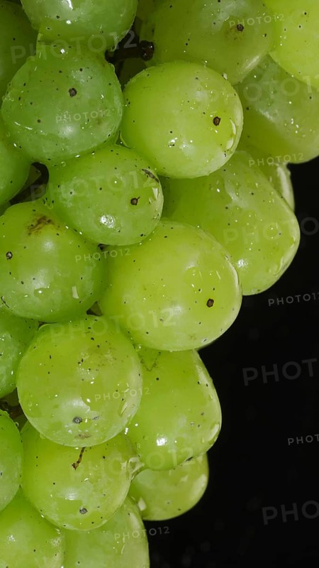 Close-up of bunch of white grapes with water drops