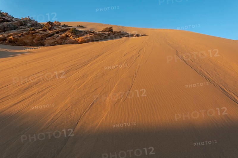 Desert landscape in North Africa at sunset. Tamri
