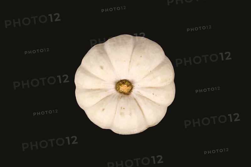 White Baby Boo pumpkin on black background