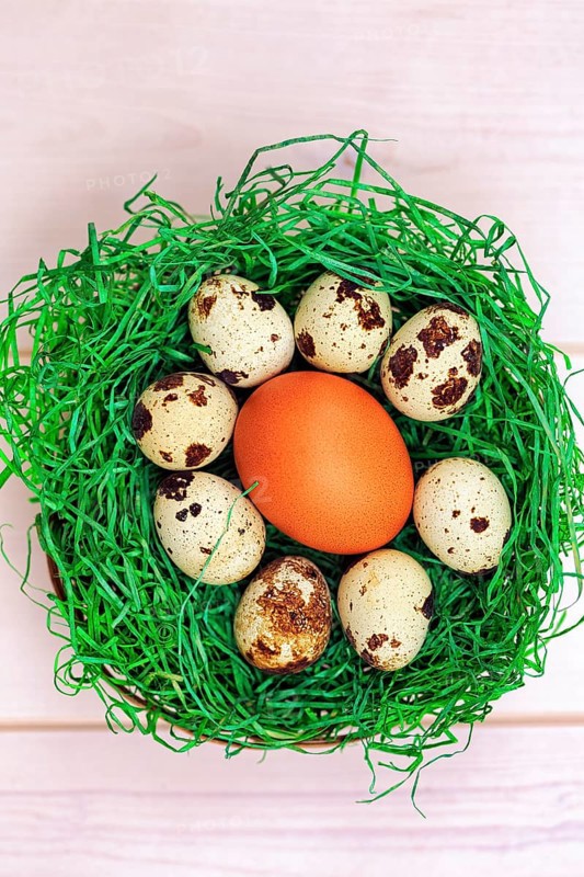 Various eggs in a green Easter nest